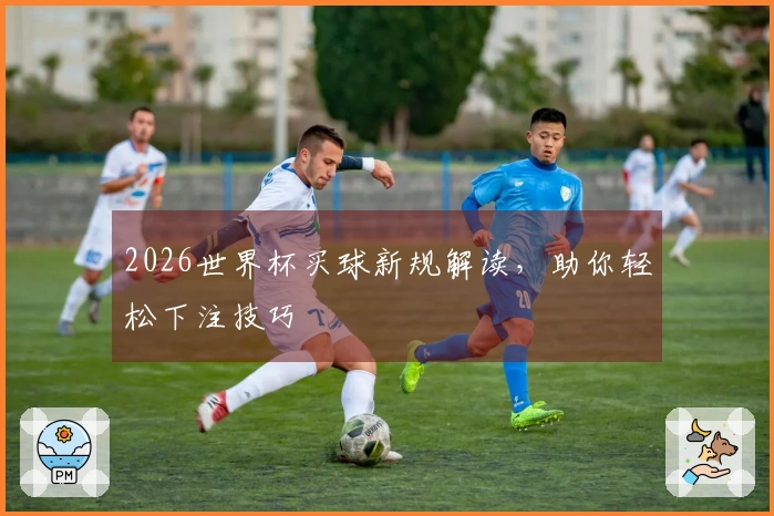 2026世界杯买球新规解读，助你轻松下注技巧