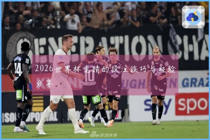 2026世界杯竞猜的投注技巧与经验分享