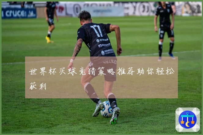 世界杯买球竞猜策略推荐助你轻松获利