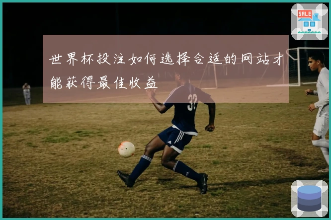 世界杯投注如何选择合适的网站才能获得最佳收益