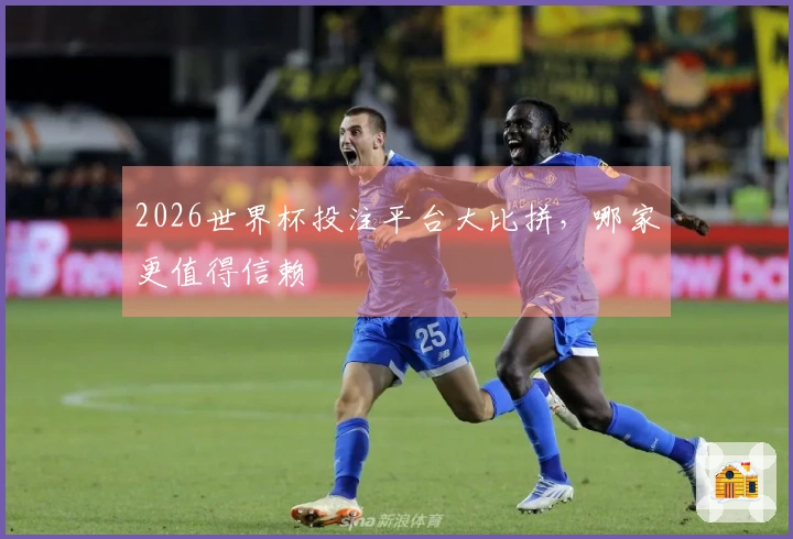 2026世界杯投注平台大比拼，哪家更值得信赖
