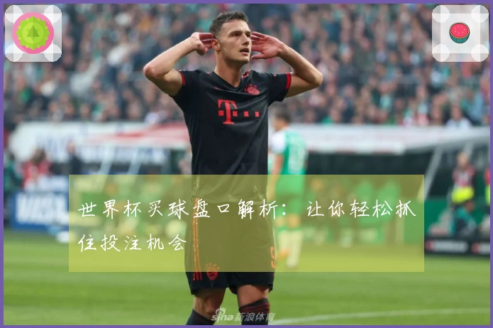 世界杯买球盘口解析：让你轻松抓住投注机会