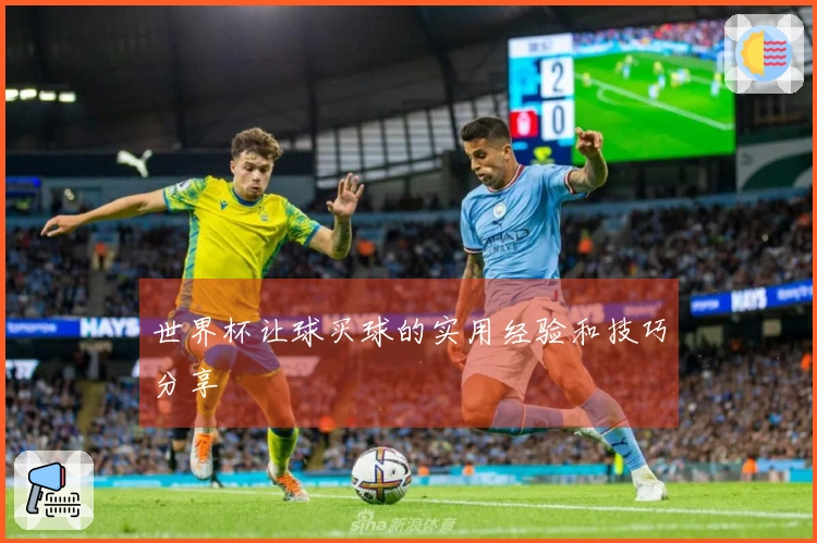 世界杯让球买球的实用经验和技巧分享