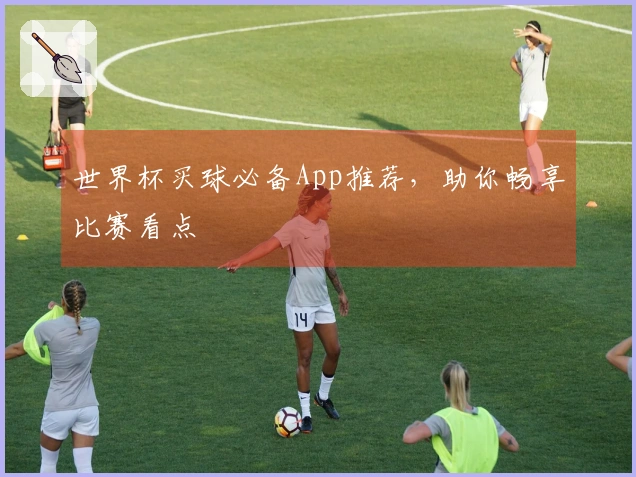 世界杯买球必备App推荐，助你畅享比赛看点