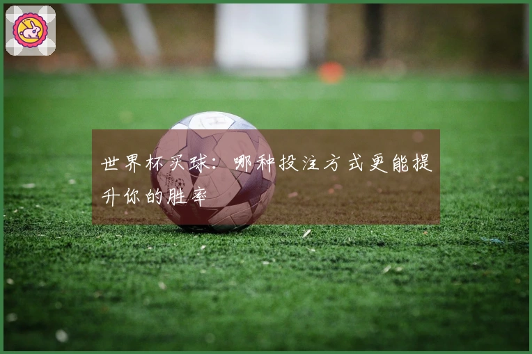 世界杯买球：哪种投注方式更能提升你的胜率