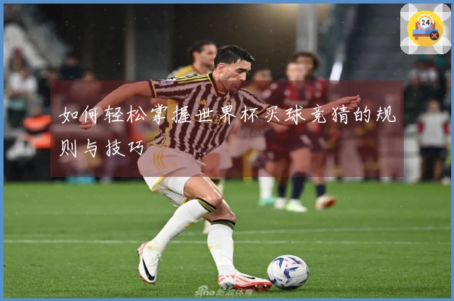 如何轻松掌握世界杯买球竞猜的规则与技巧