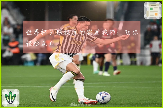 世界杯买球投注的实用技巧，助你轻松获利