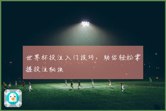 世界杯投注入门技巧，助你轻松掌握投注秘诀