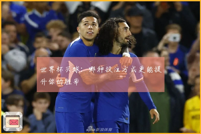 世界杯买球：哪种投注方式更能提升你的胜率