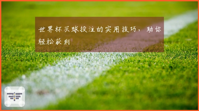 世界杯买球投注的实用技巧,助你轻松获利